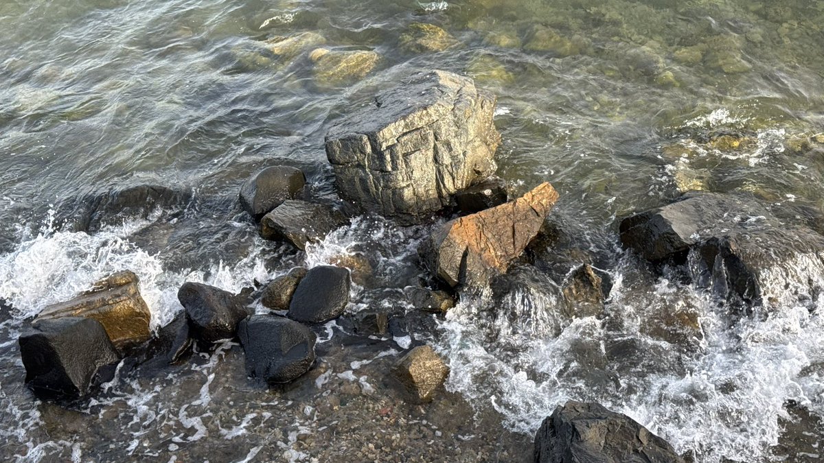 catreo🐈‍⬛ tweet media