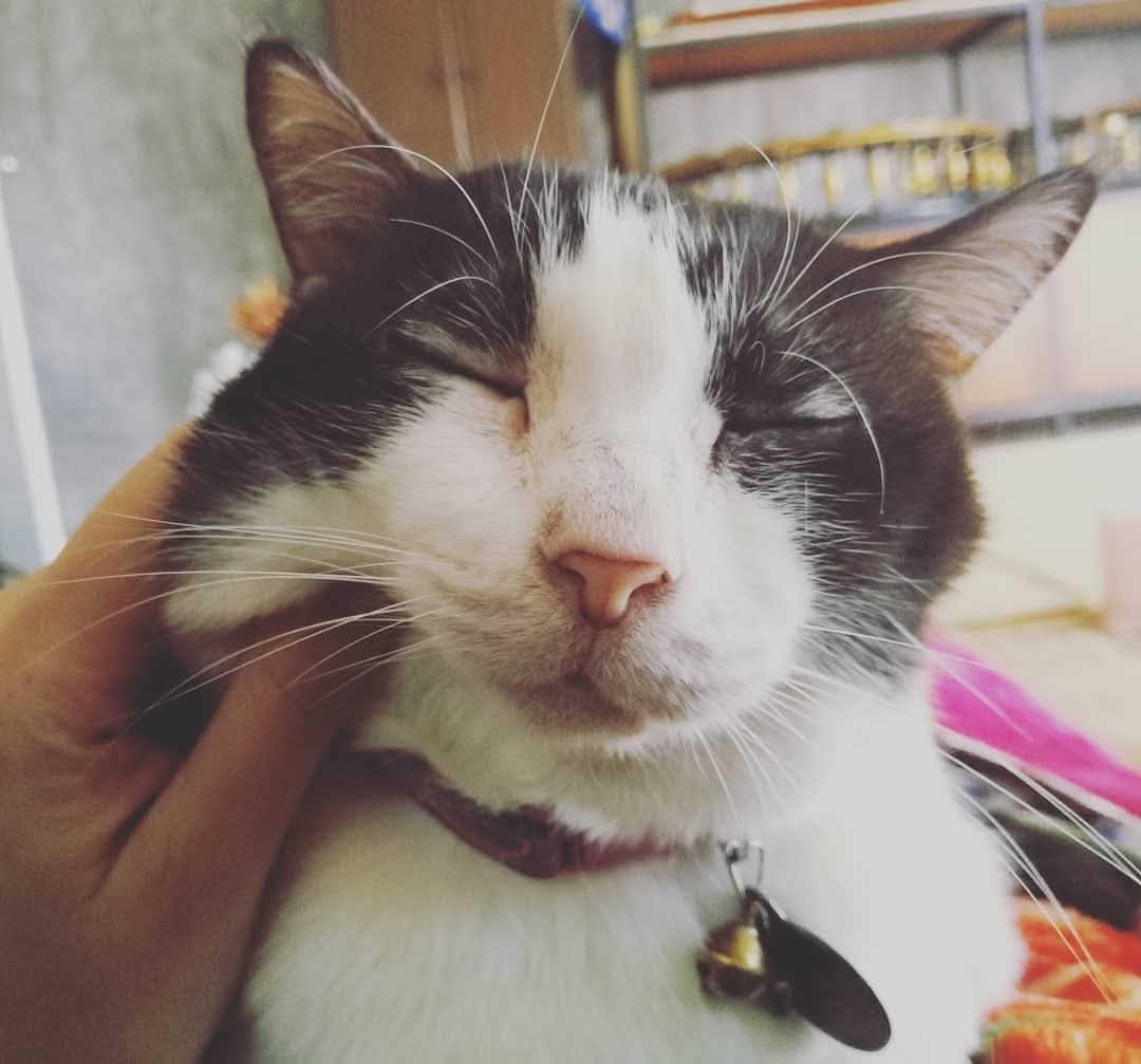 TinyBirb🐦 tweet media