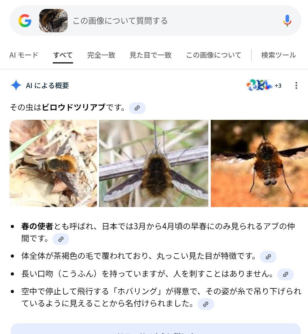 おうたろ🐇 tweet media
