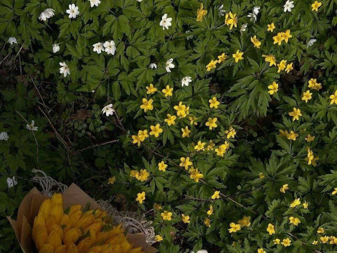 ♡خـواطـر ديـنيه،♡ tweet media