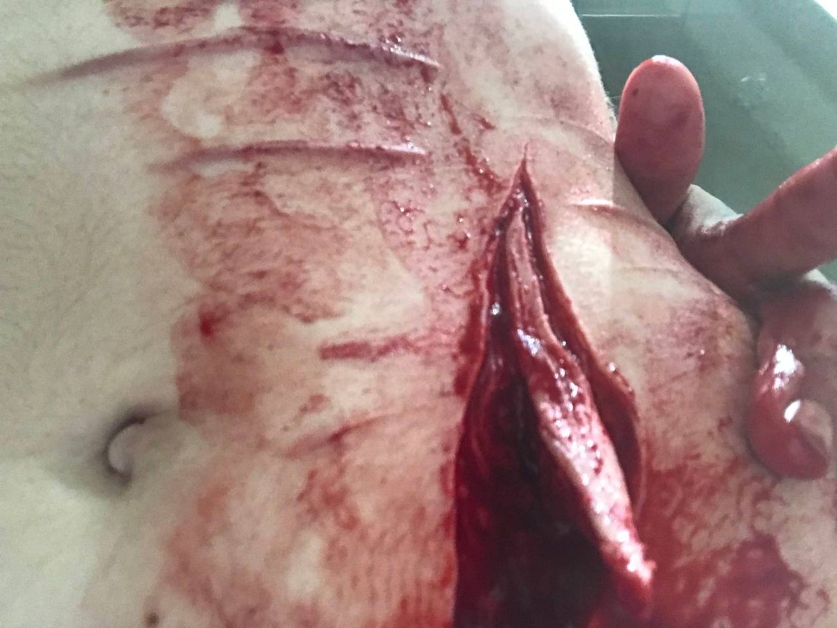 velvetcurse tweet media