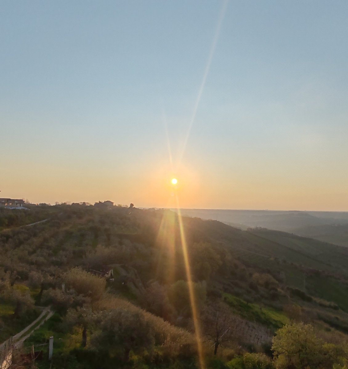 🌸:*☆:**: ✿ 𝐁𝕖lé𝓝 ✿:**:☆*:🌸 tweet media