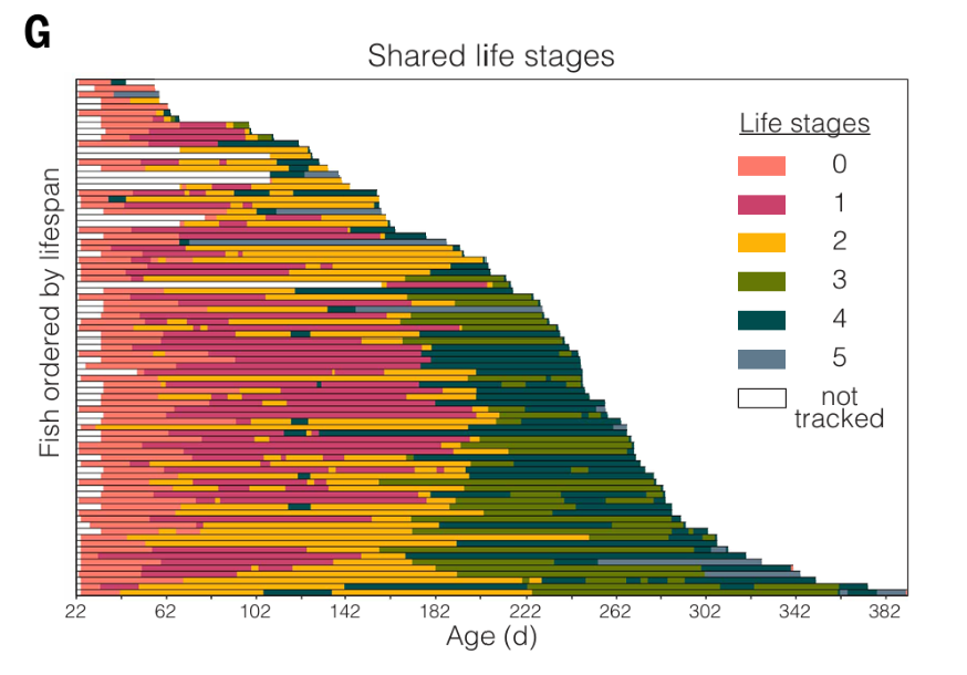 Compound tweet media