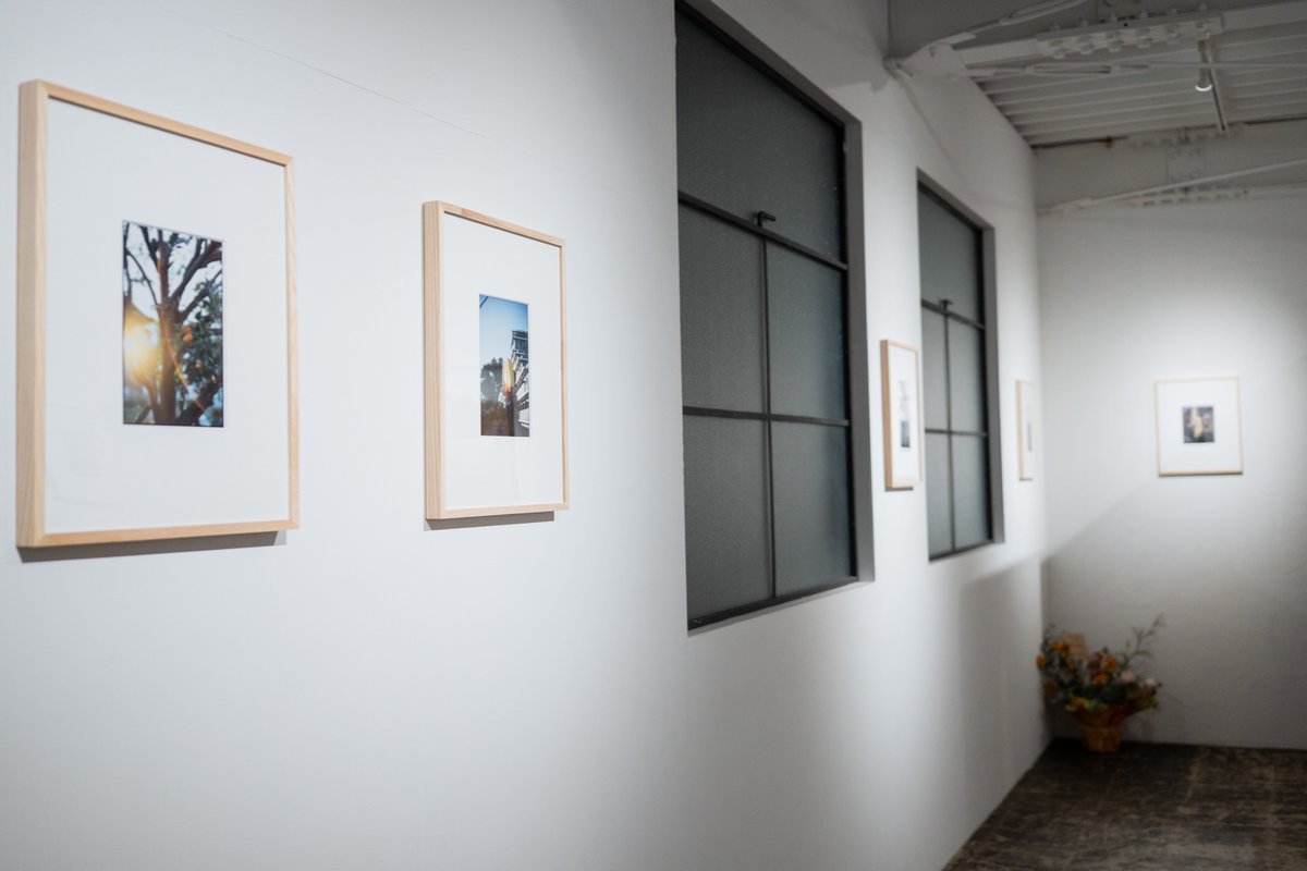 manimanium tweet media