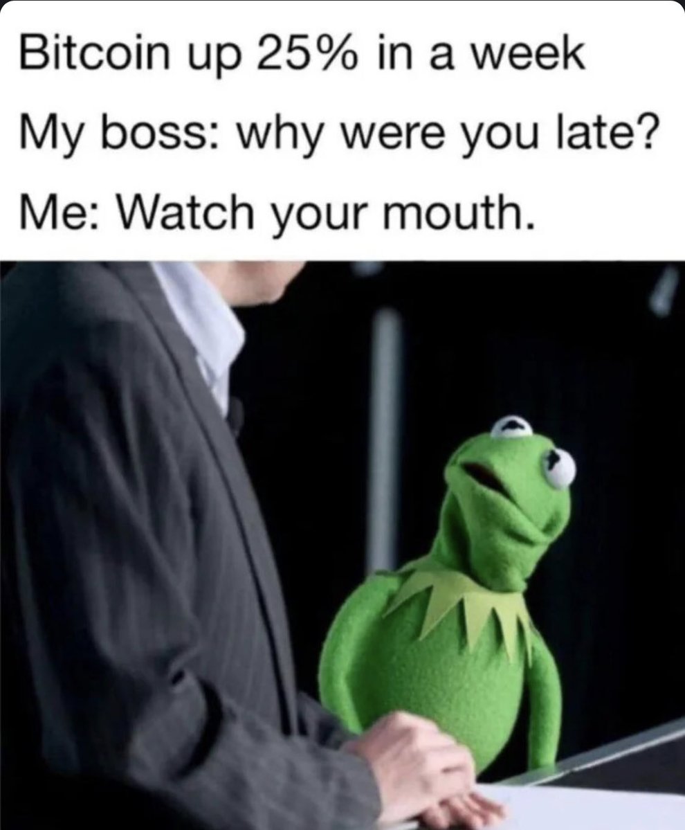 Buxmd9999 tweet media