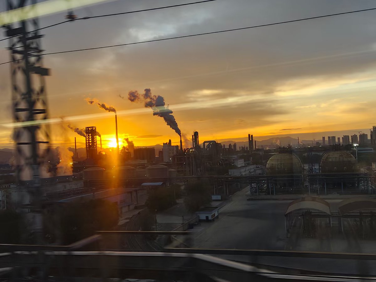 catia ferraro tweet media