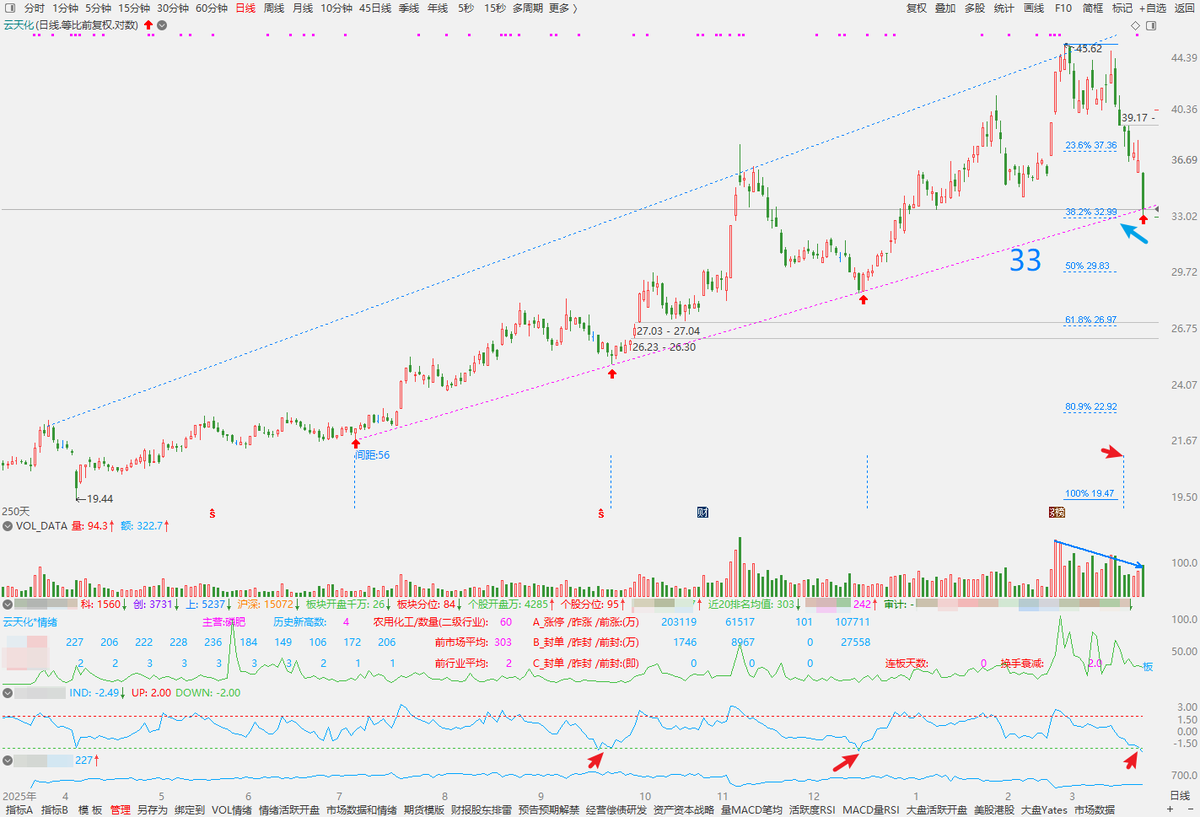 StarDust tweet media