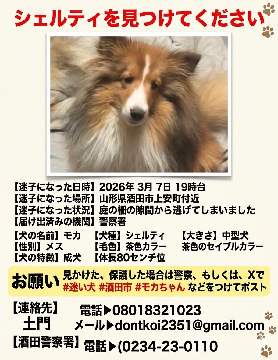 福田シロップ tweet media