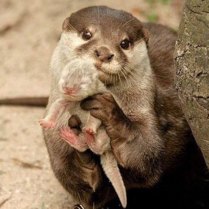 한결이 tweet media