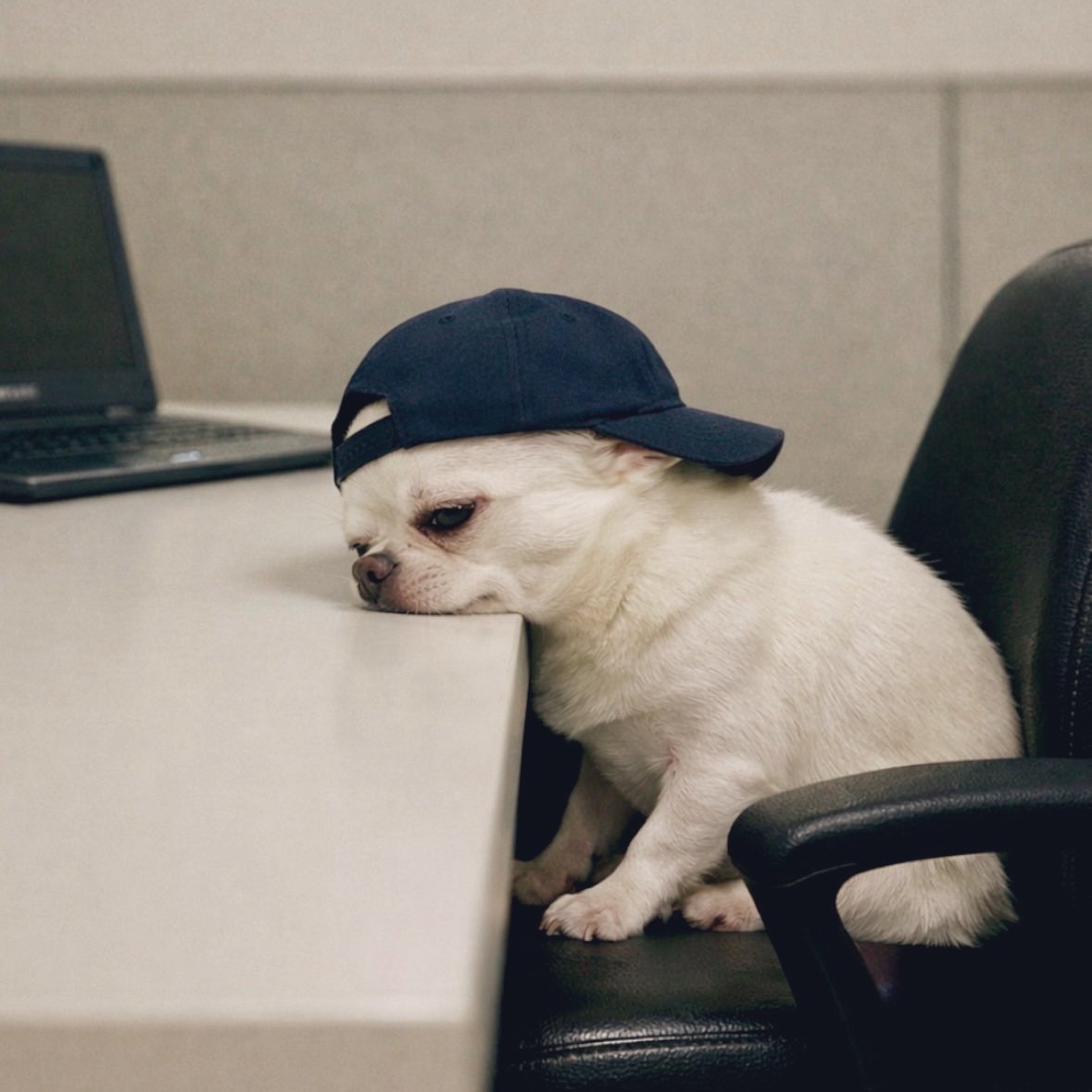 Thanateezy tweet media