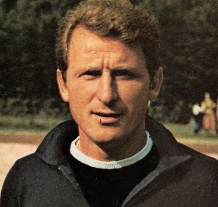 L’Oasi di Salvo tweet media