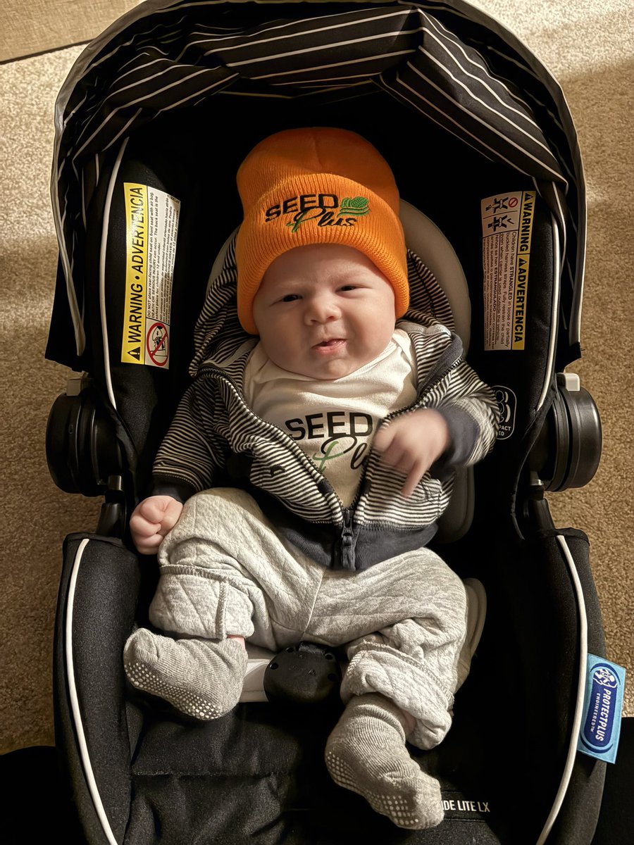 Laura Hofmeister tweet media