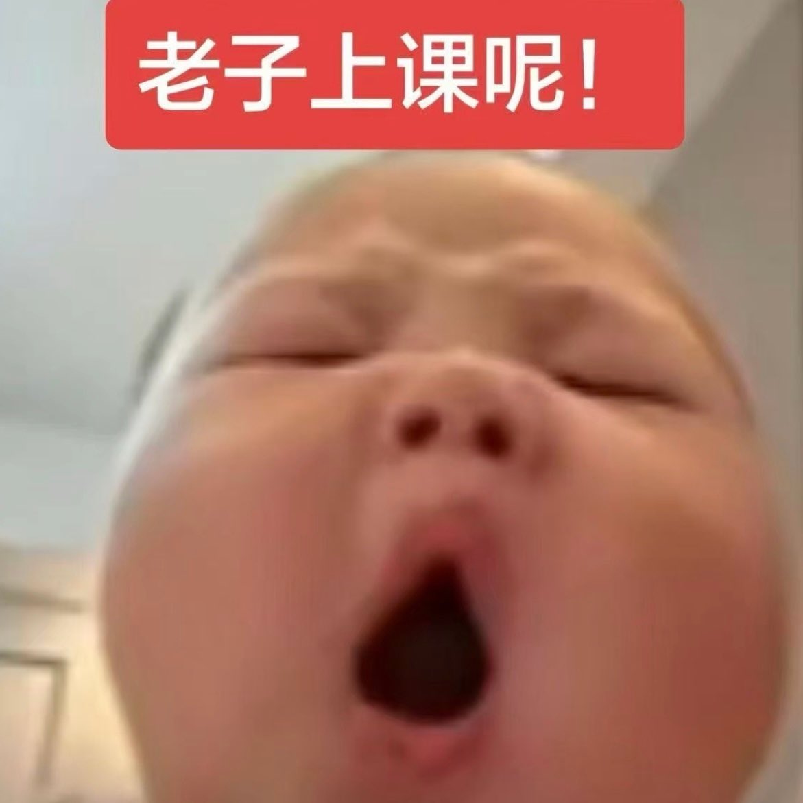 蛋挞泪 tweet media