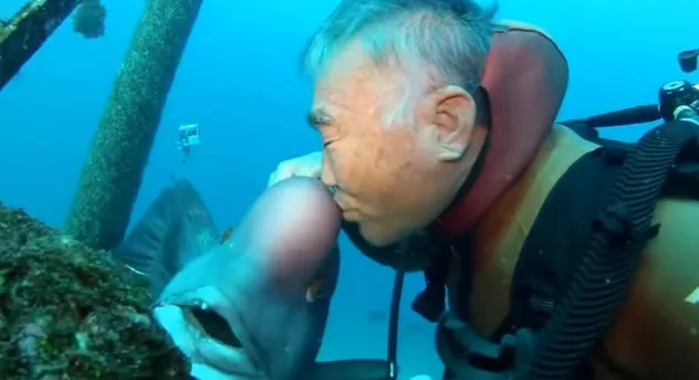 idrawcooks tweet media