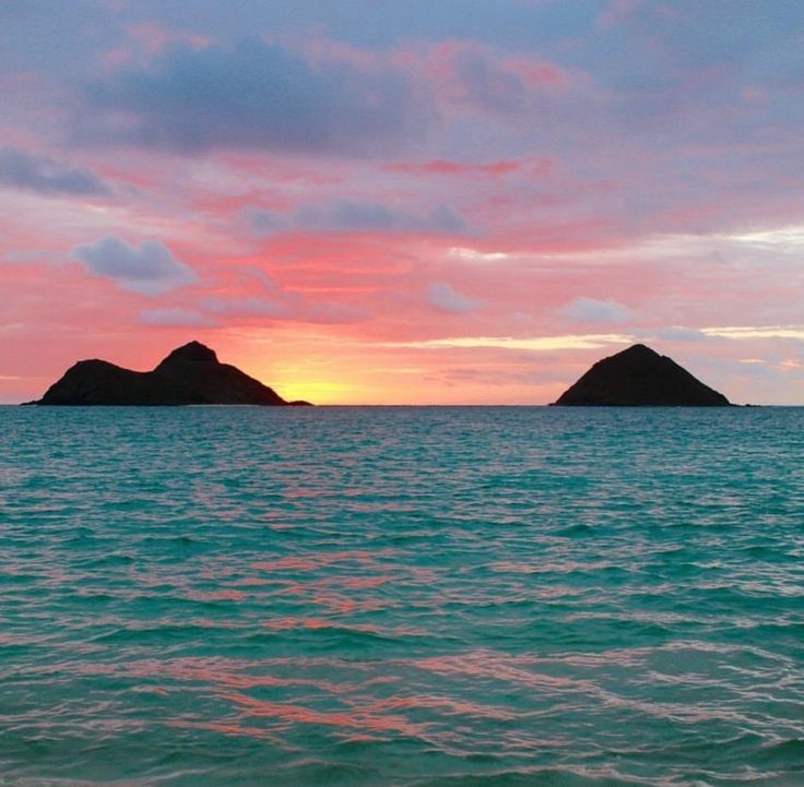 OceanMood tweet media