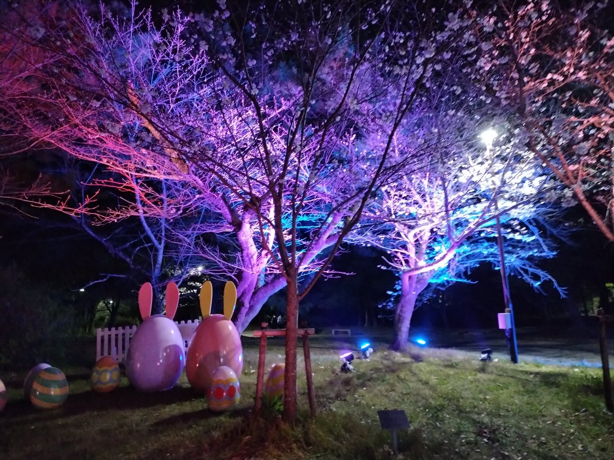 明海咲月 tweet media