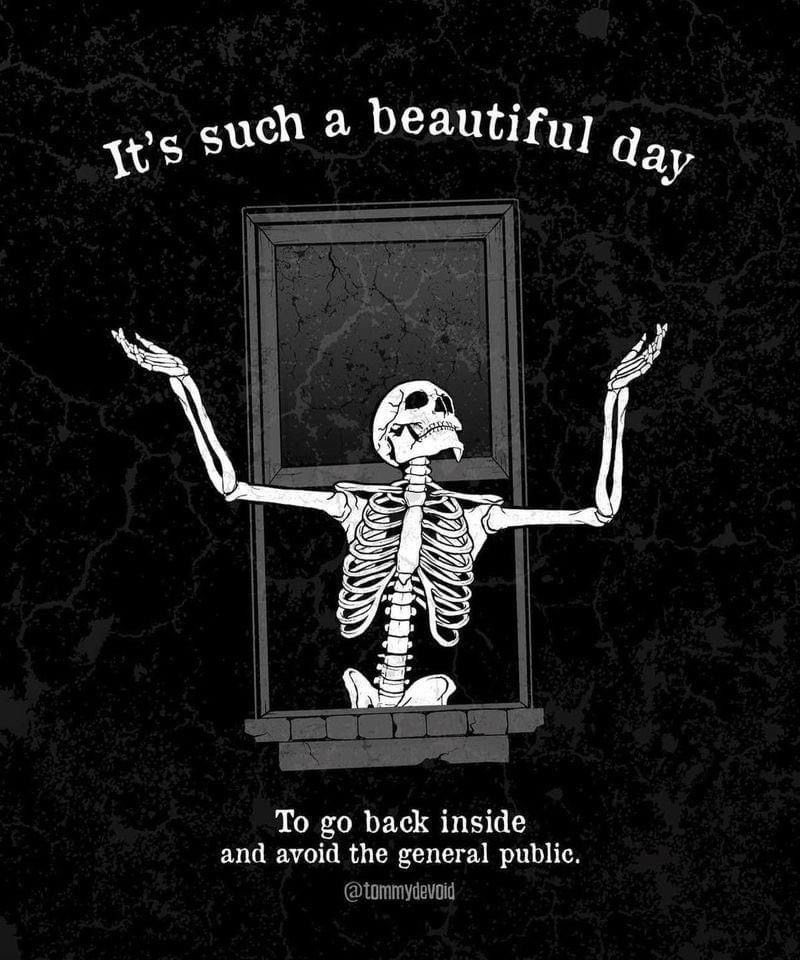 COZYVIBES tweet media