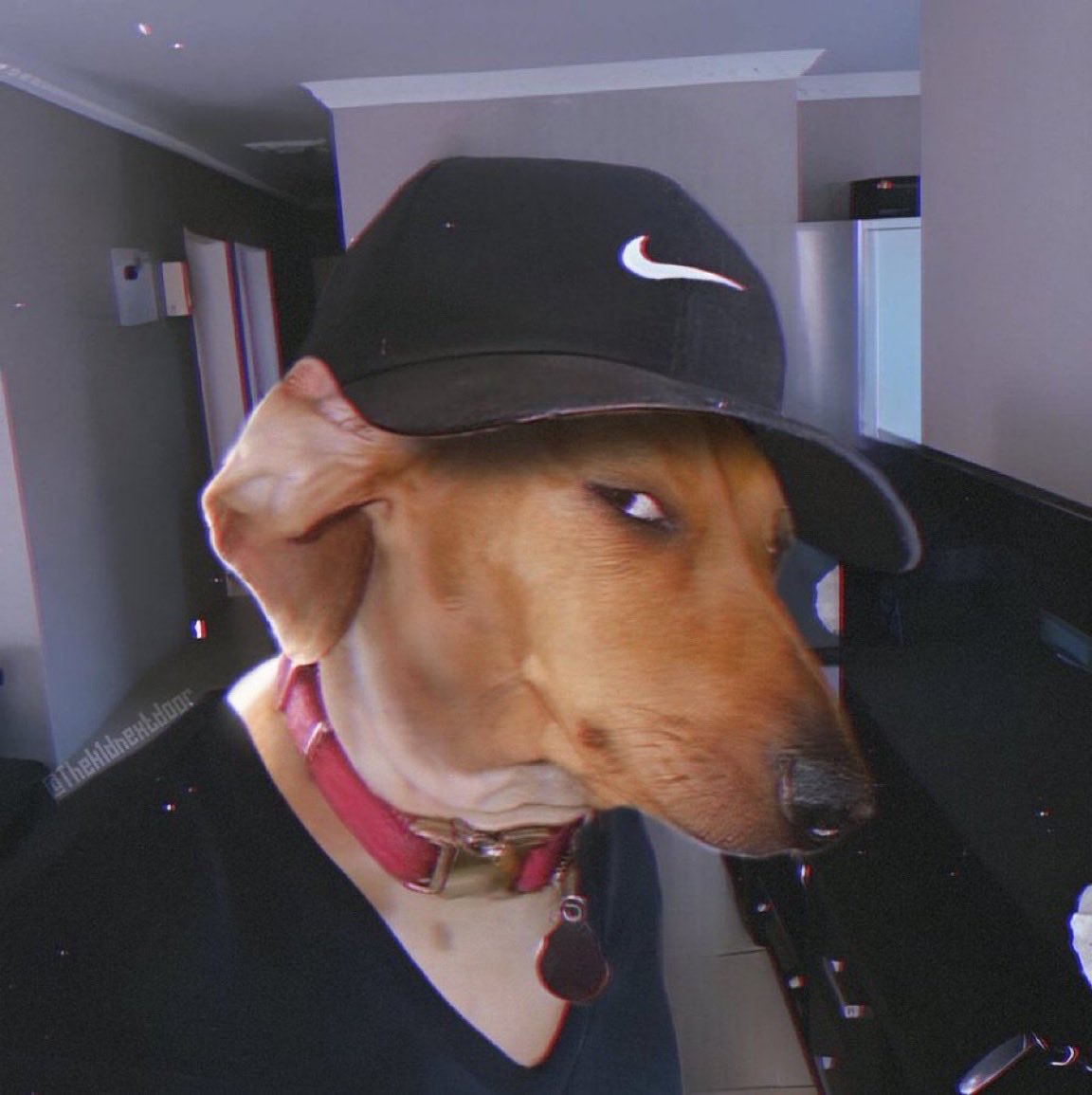 AVMS_UNIBEN tweet media