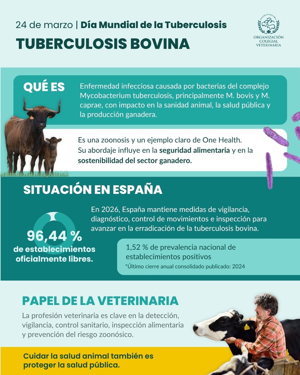 OCV España tweet media