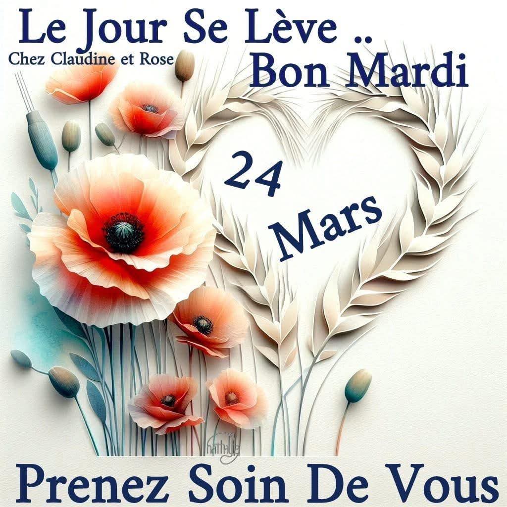 Philippe Thubé tweet media