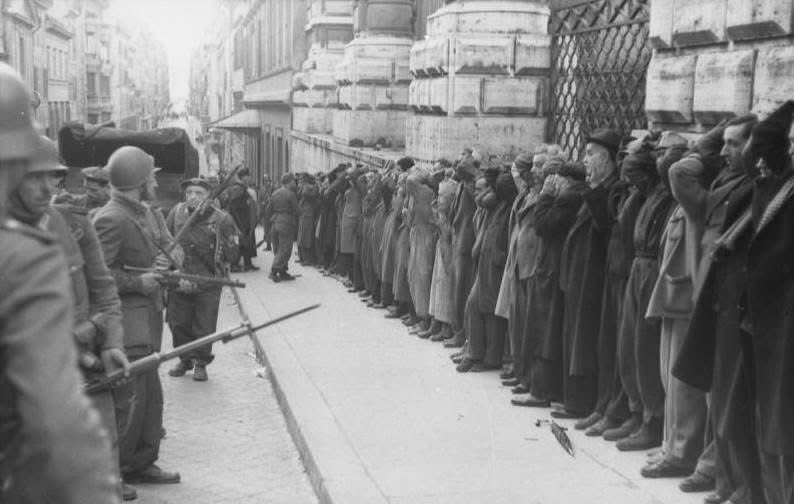 petricore 🦈 tweet media