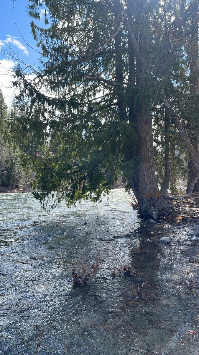 Simplylimeade's tweet image. Agreed. I love my solo trips more than anything. #Hiker