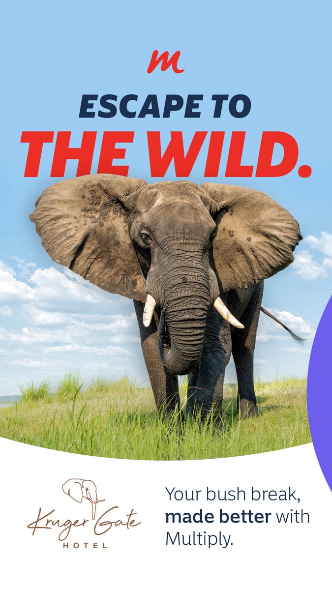 Momentum Multiply tweet media