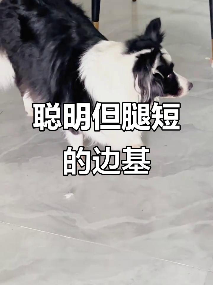 Emily Nagy tweet media