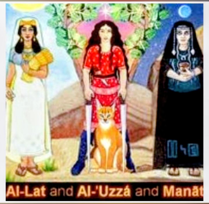 أحمد الشهاب tweet media