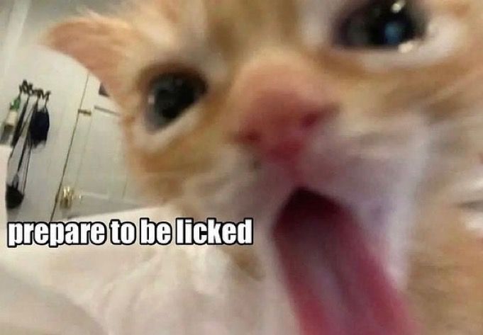 i drink soup tweet media