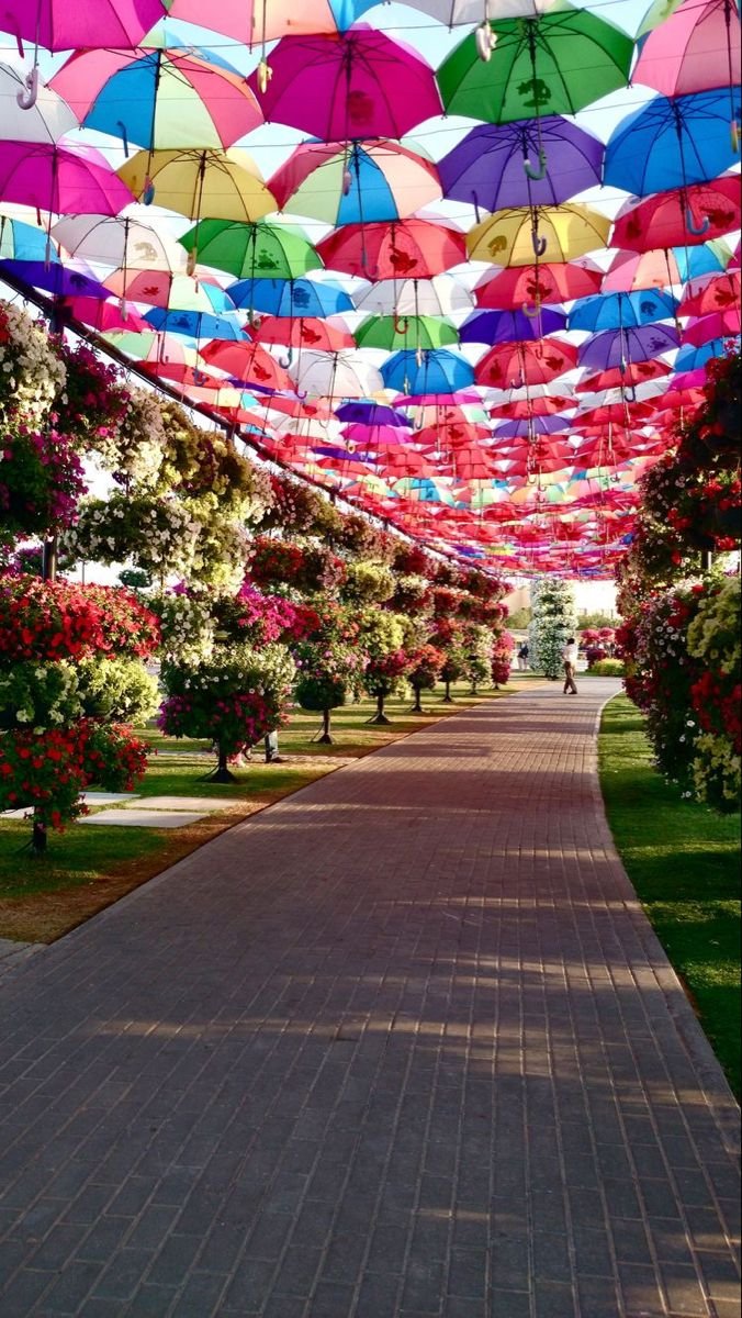 KC正义联盟 II tweet media