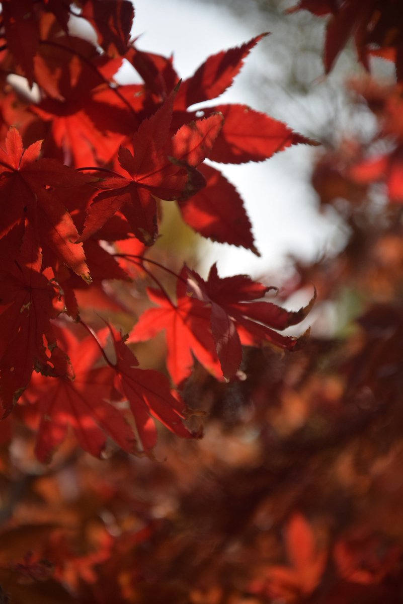 Jennifer tweet media