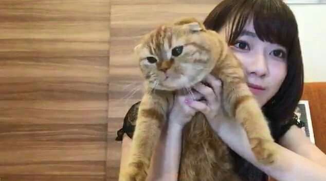 tay . 🍝🪽 tweet media