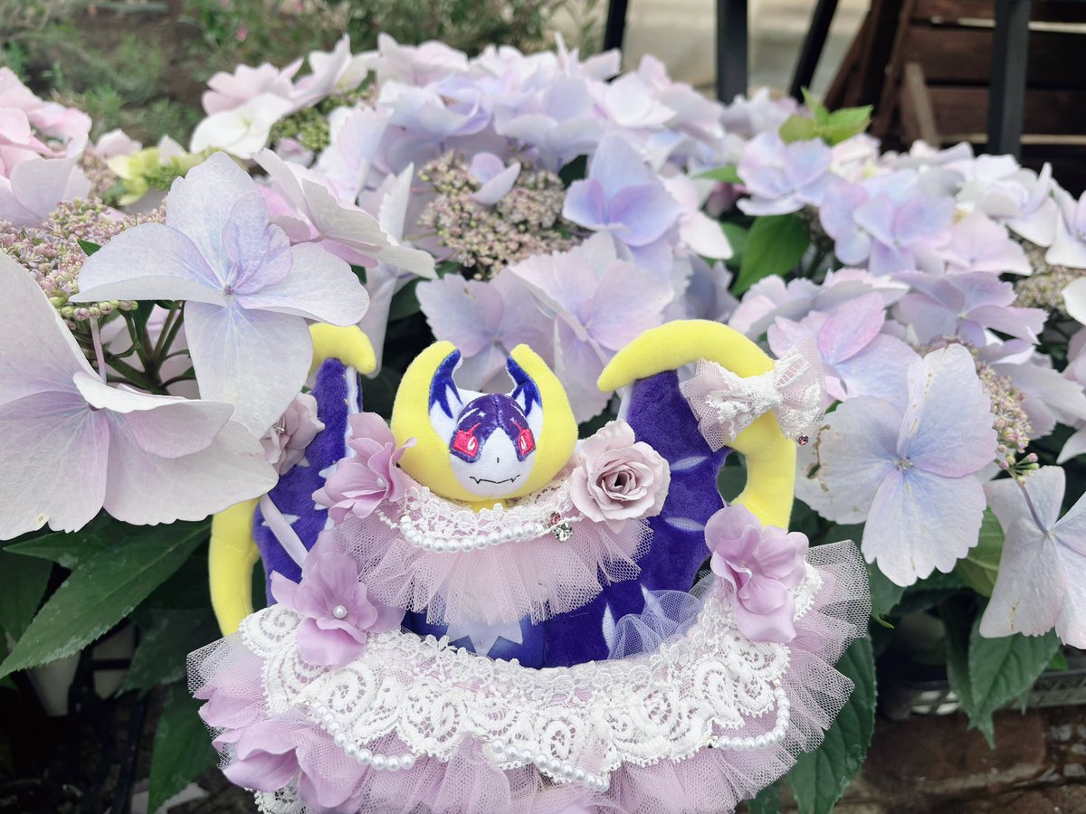 アマギ tweet media