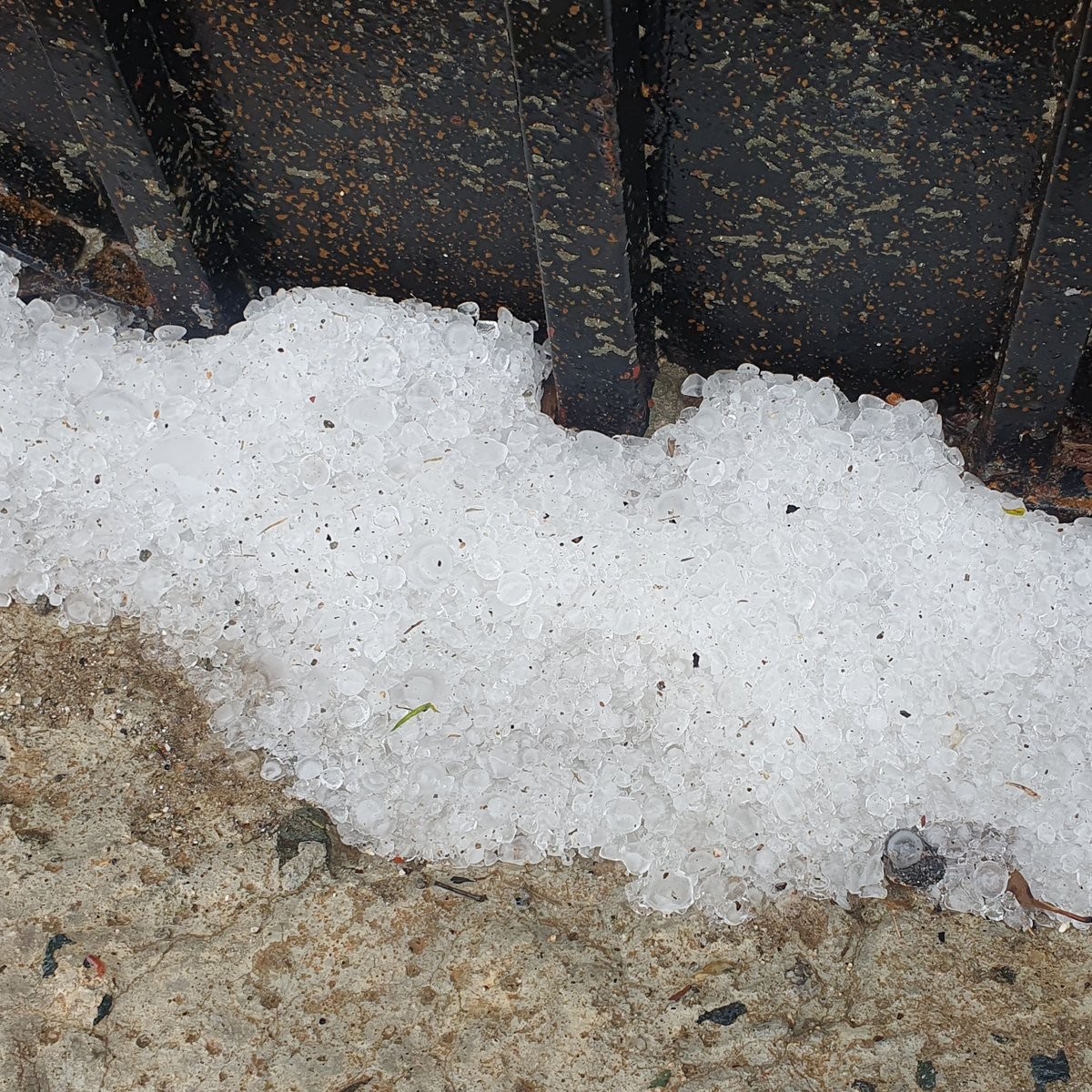 المتفائل tweet media