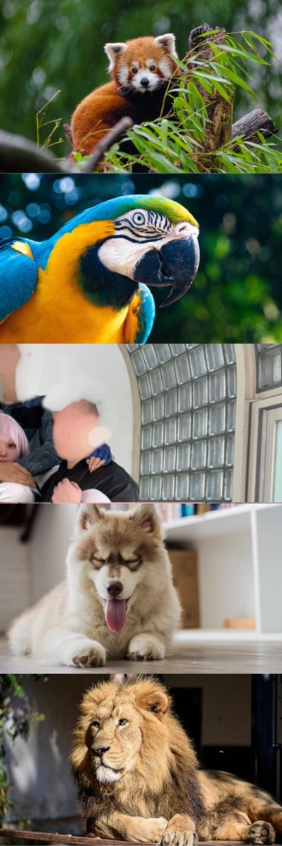 ららたん❕ tweet media