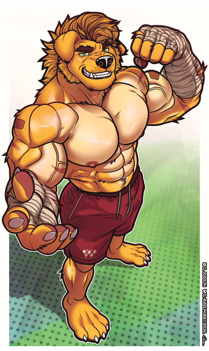 Cl.Rudolph tweet media