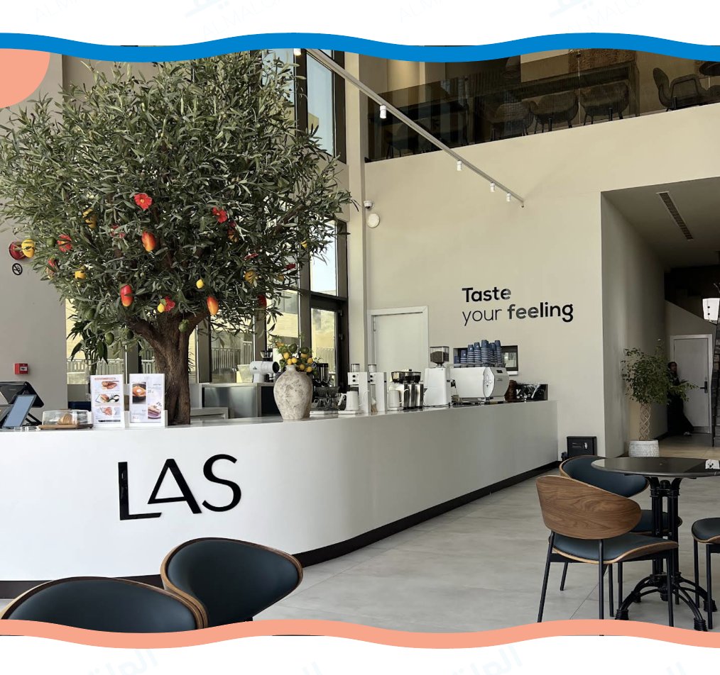 الملقا لايف tweet media