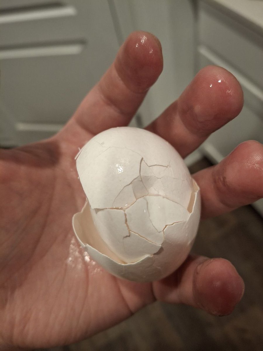 Asian Master Victor tweet media