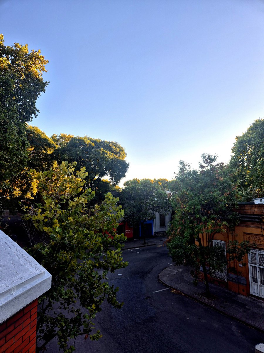 robert moré tweet media