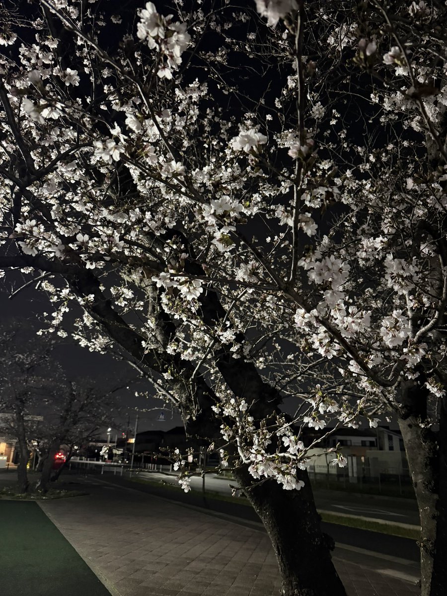 アイジーエヴァース tweet media