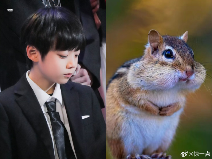 MinecraftAuctor tweet media