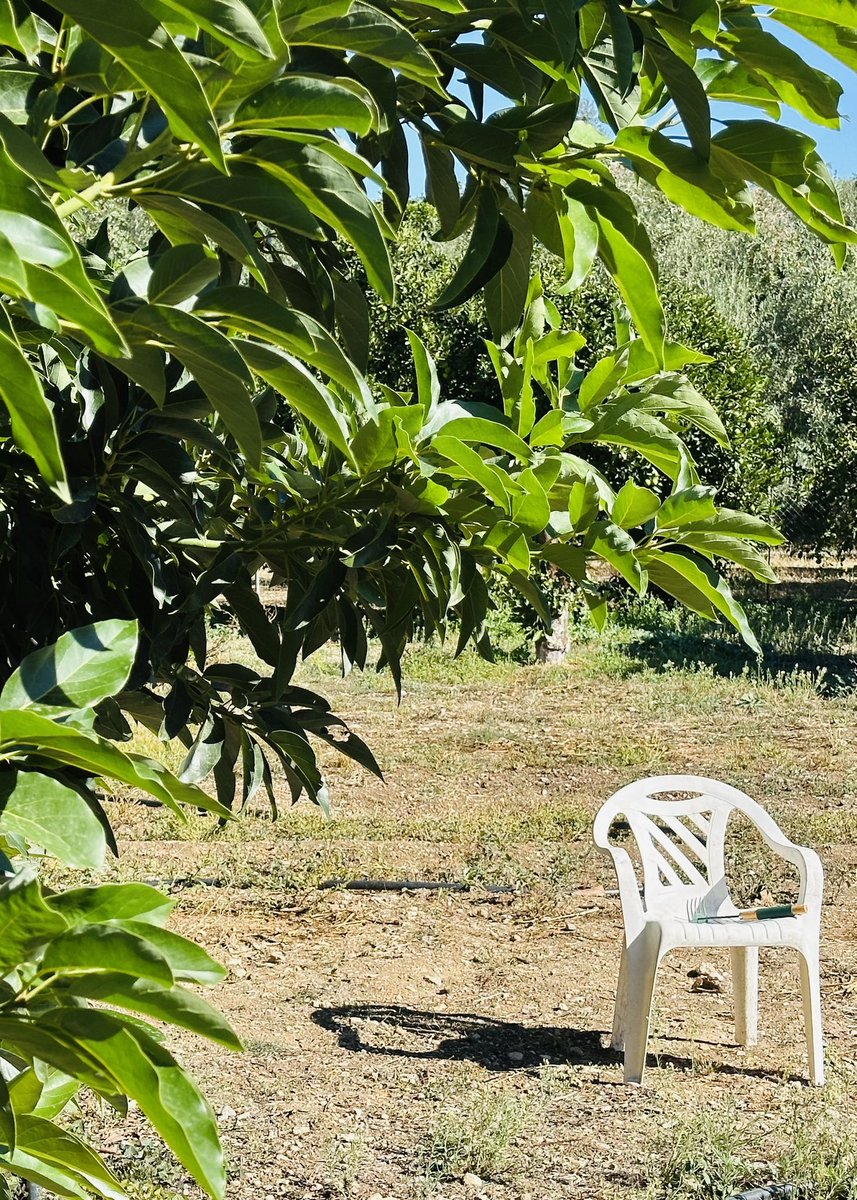 ۞cododetenista۞ tweet media