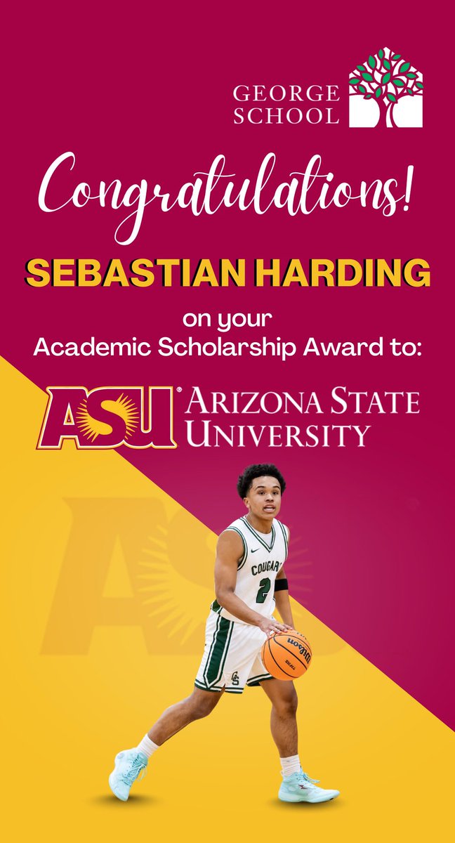 Sebastian Harding tweet media