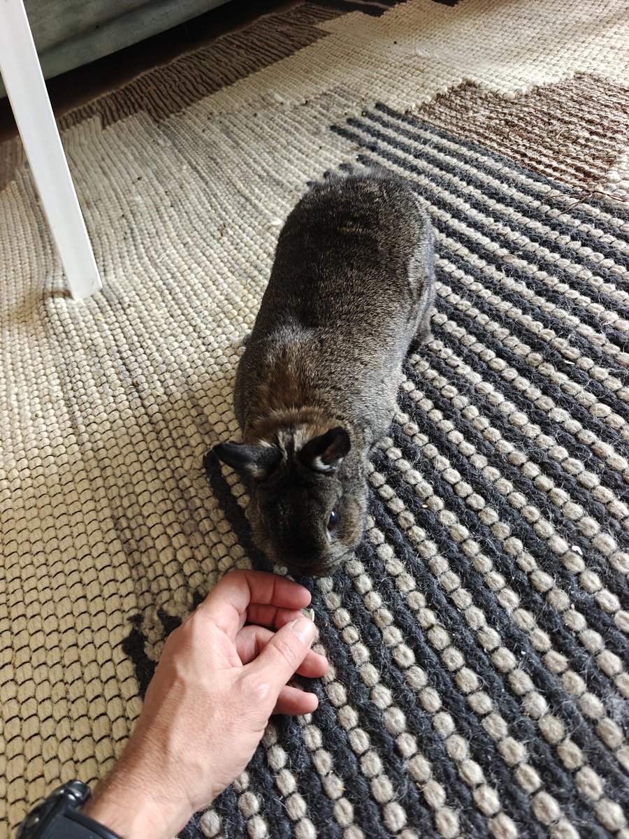 Rod Phallic tweet media