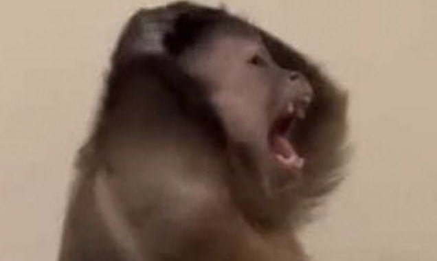 chel🍜'²6 tweet media