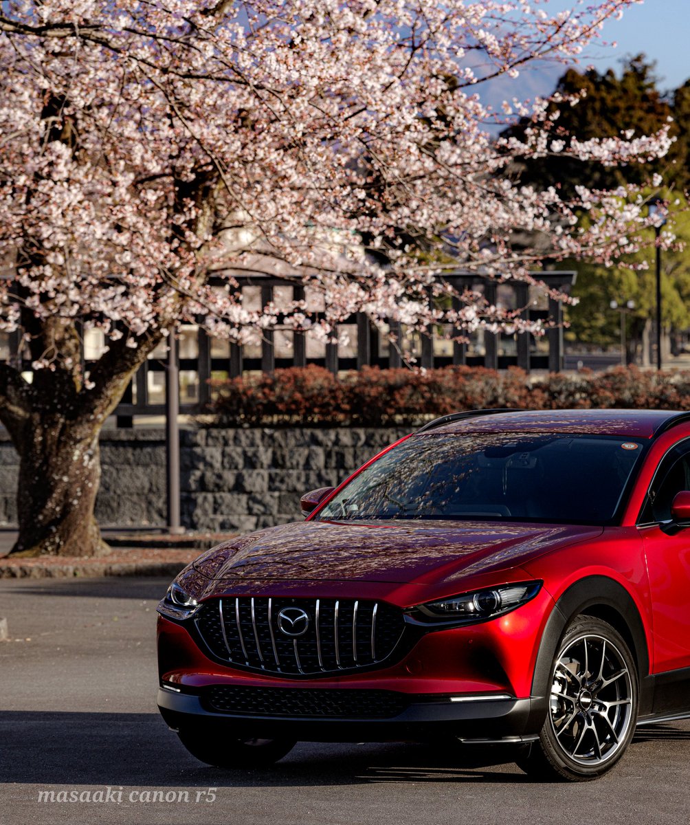 まさあき tweet media