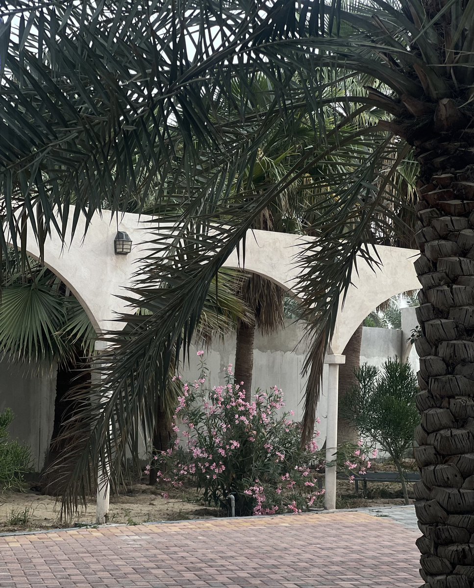 حہنيہن الہماضيہ ‏⊱❤︎ tweet media