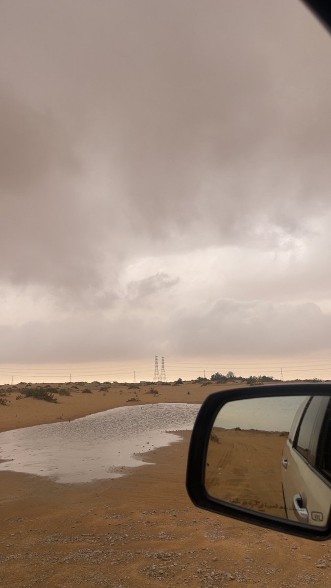 ابو سند tweet media