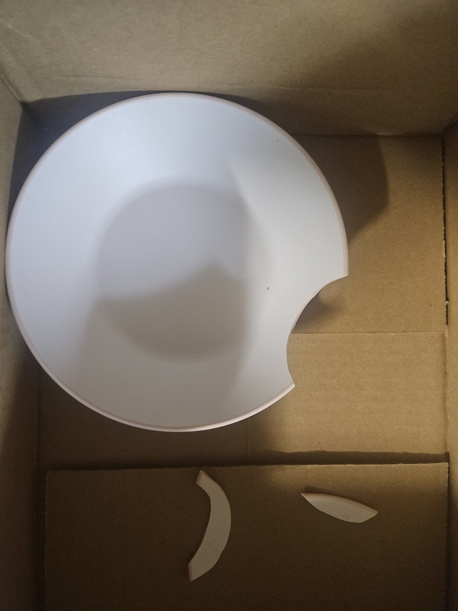 わたあめ@ペキニーズ tweet media